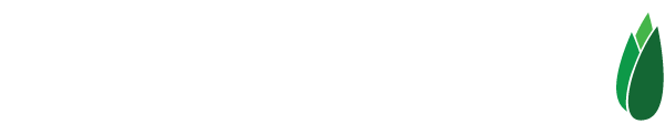 Cheniston-Capital-Header